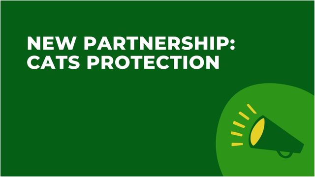 New partnership: Cats Protection
